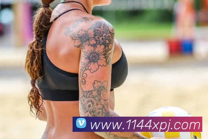 多媒体互动体验